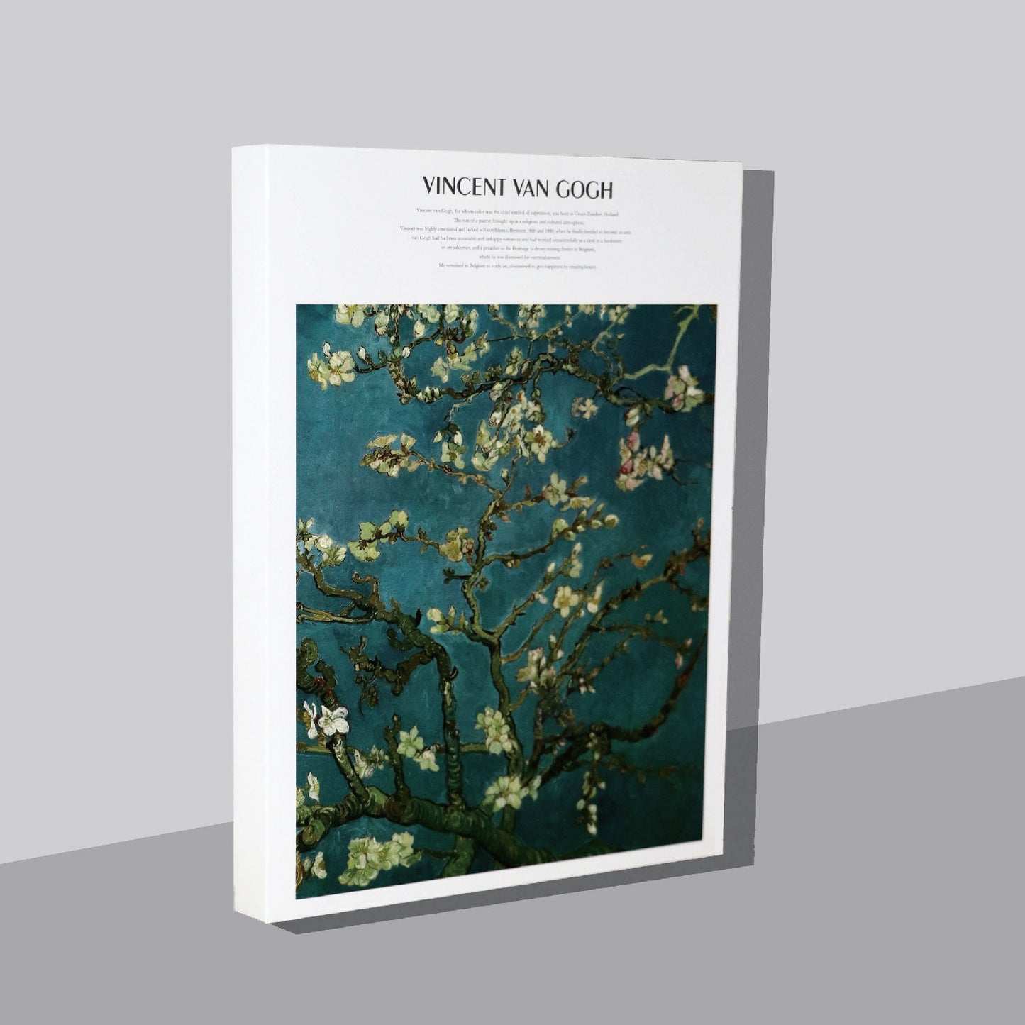 Fine Art Color Lead Watercolor Book