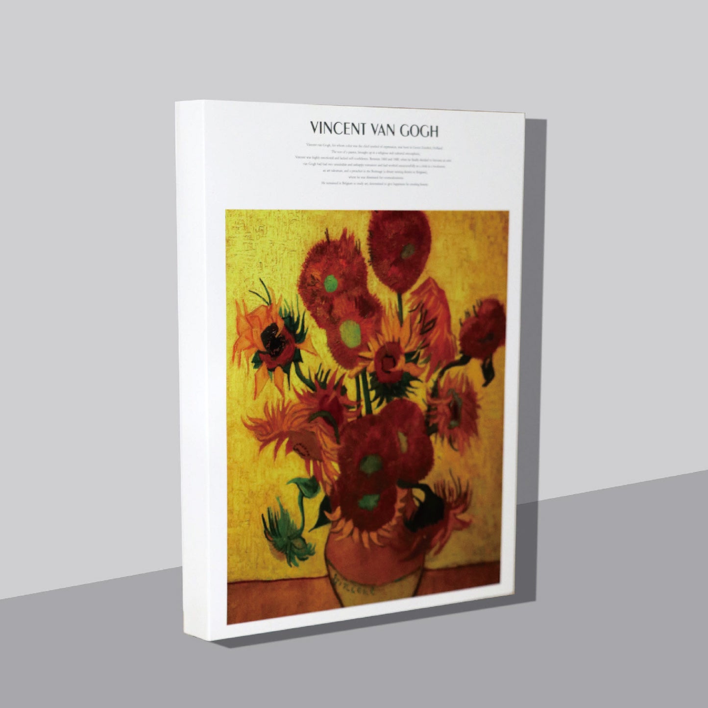 Fine Art Color Lead Watercolor Book