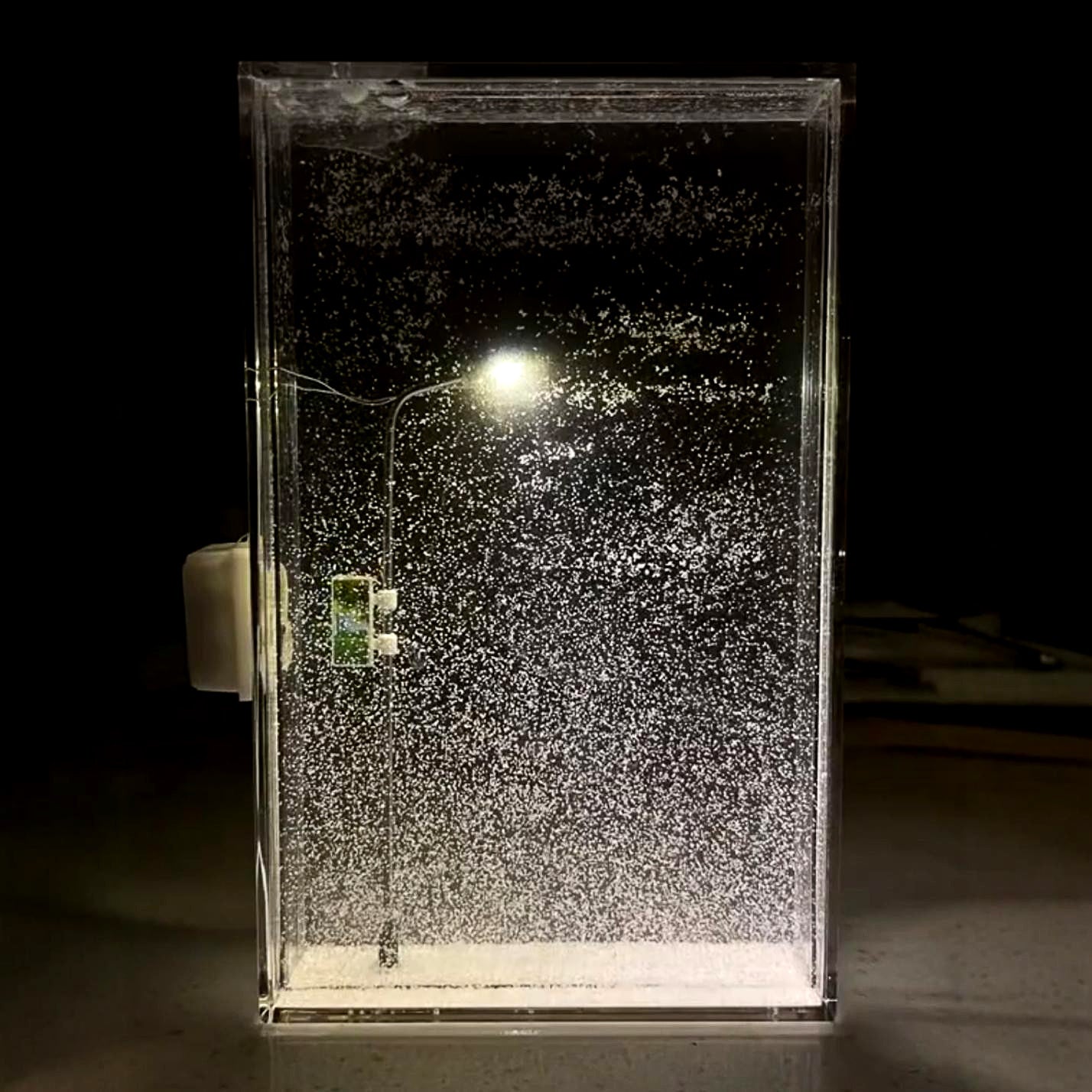 Magic Snowy Night Lights